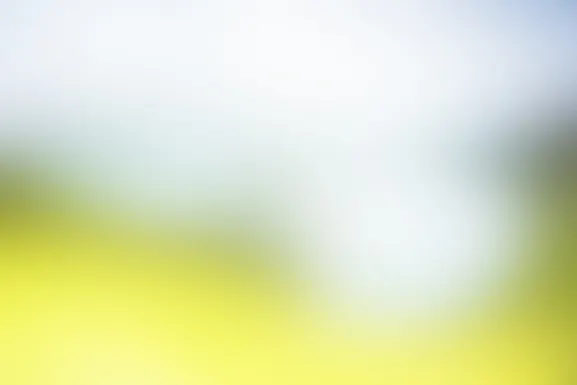 Mint Kasyno Wsparcie